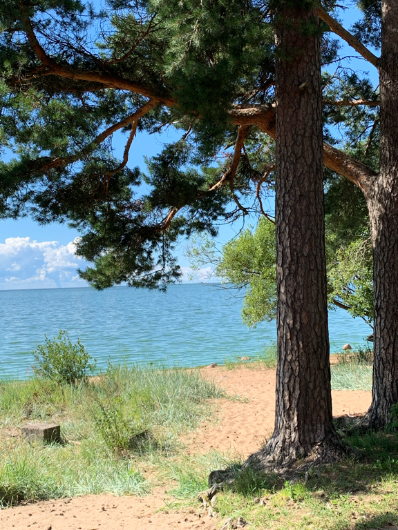 Фото Комарово