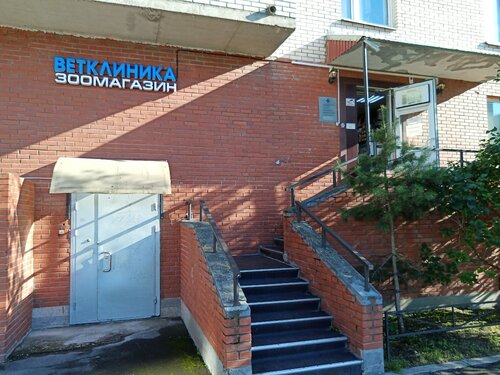 Ветеринарная клиника Molli, Санкт‑Петербург, фото