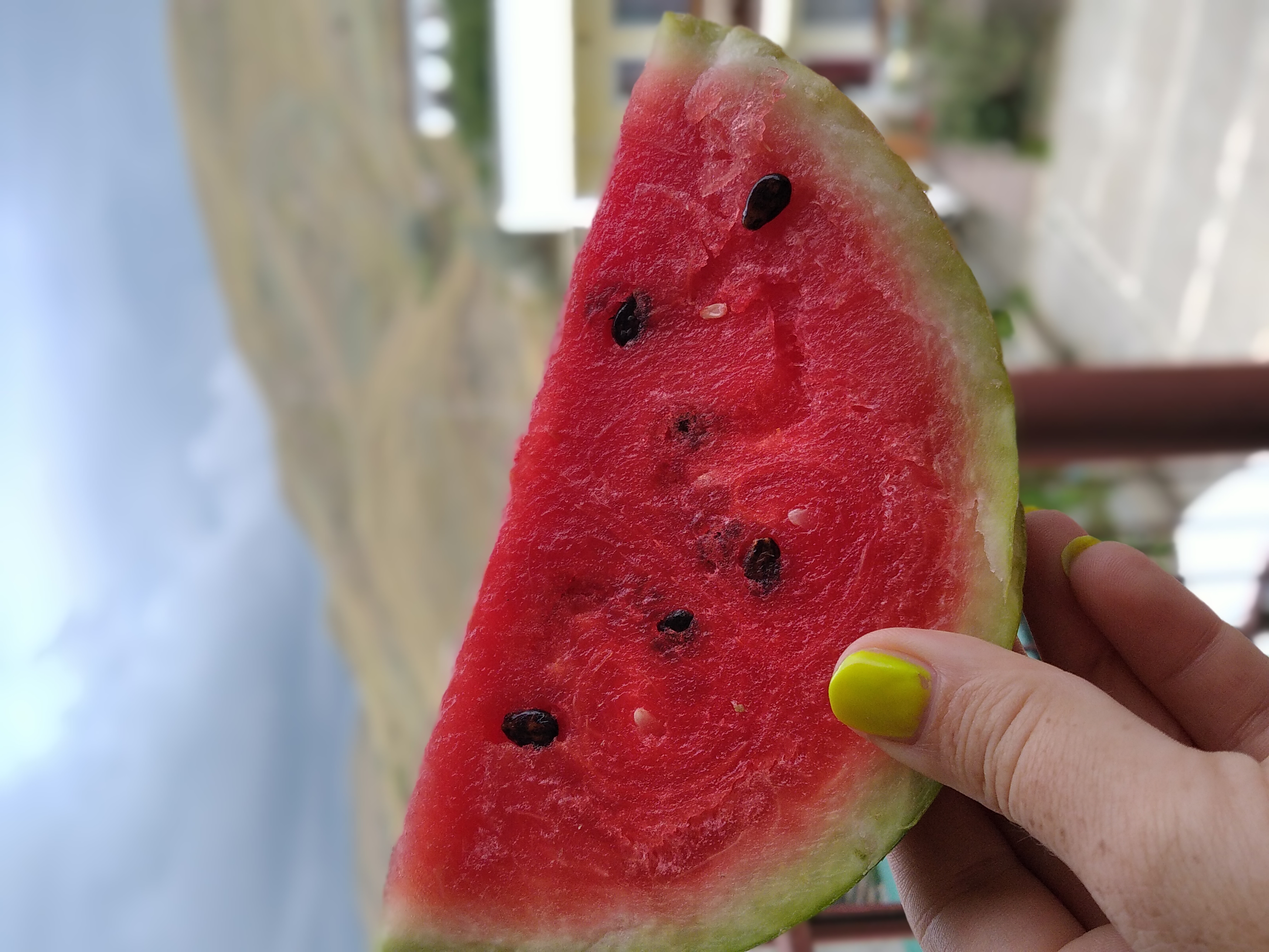 Фото Гостевой дом Роза