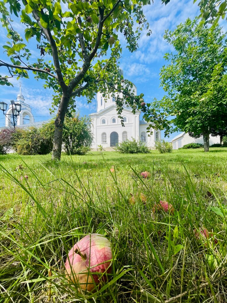 Iglesia ortodoxa Церковь апостолов Петра и Павла, , foto