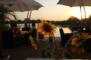 Гостиница Hotel On Plonge Junior