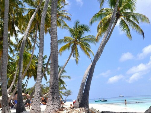 Гостевой дом Nala Island Village в Маафуши