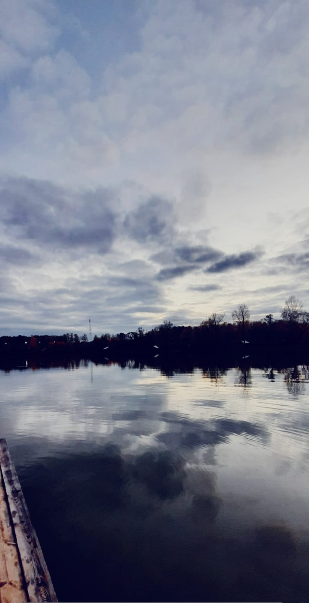 Фото Место клёва