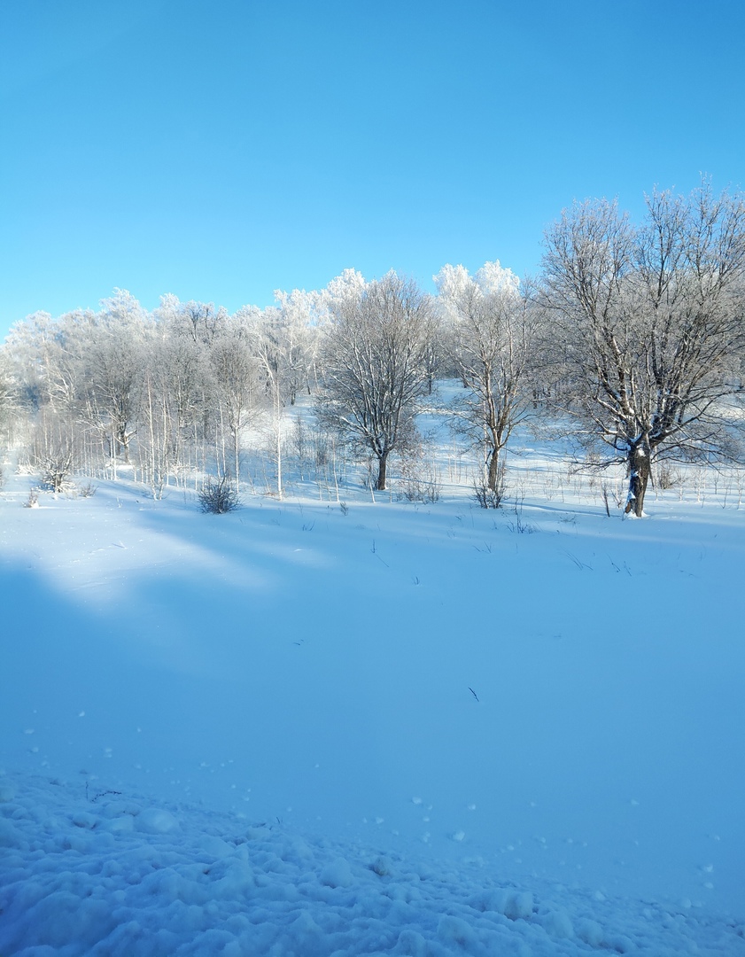 Фото Солнечный Пригорок