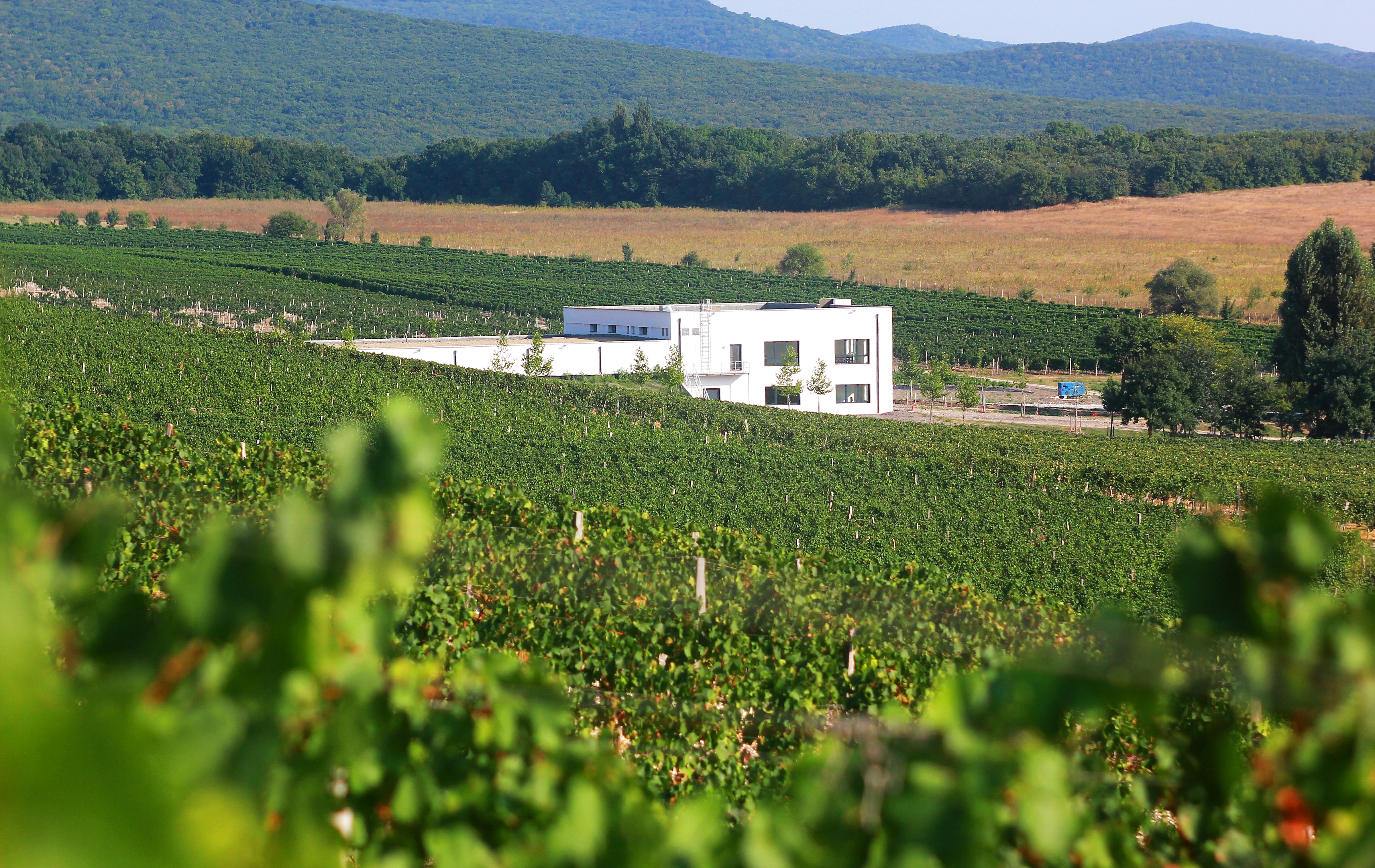 Фото Бюрнье