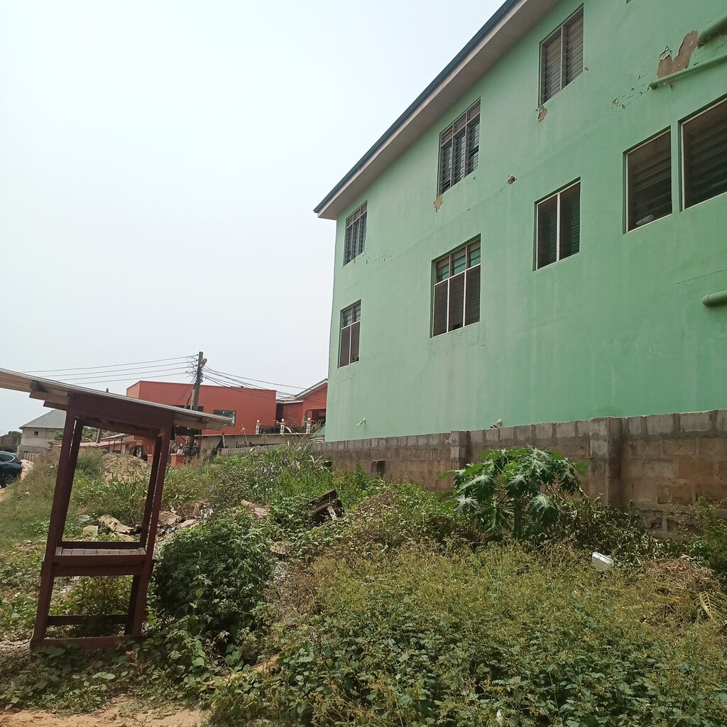 School Little Dolphins Montessori School, Earth, photo