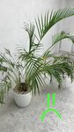 100Plants.ru (Plekhanova Street, 17), flower shop