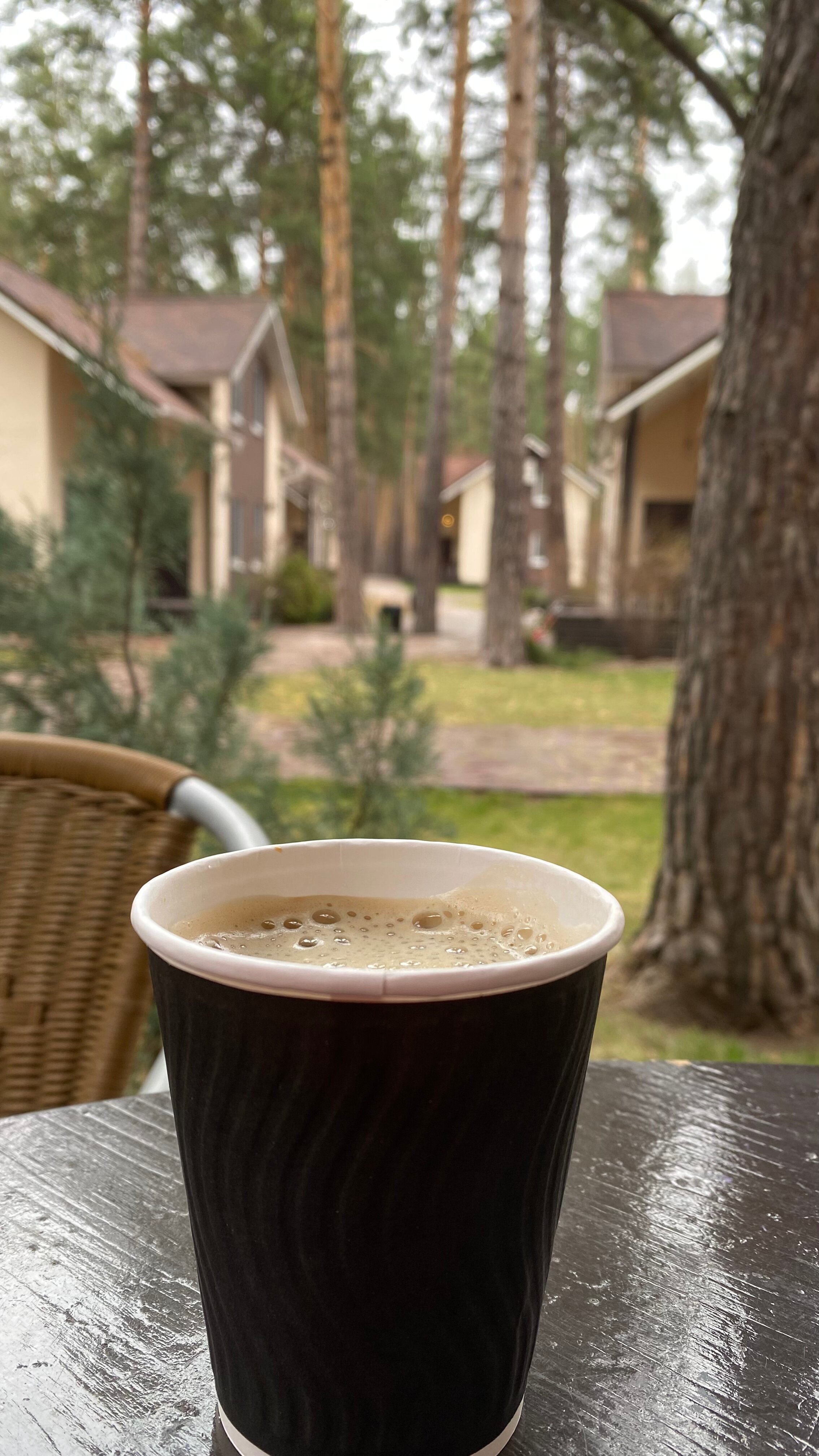 Фото ФорРест