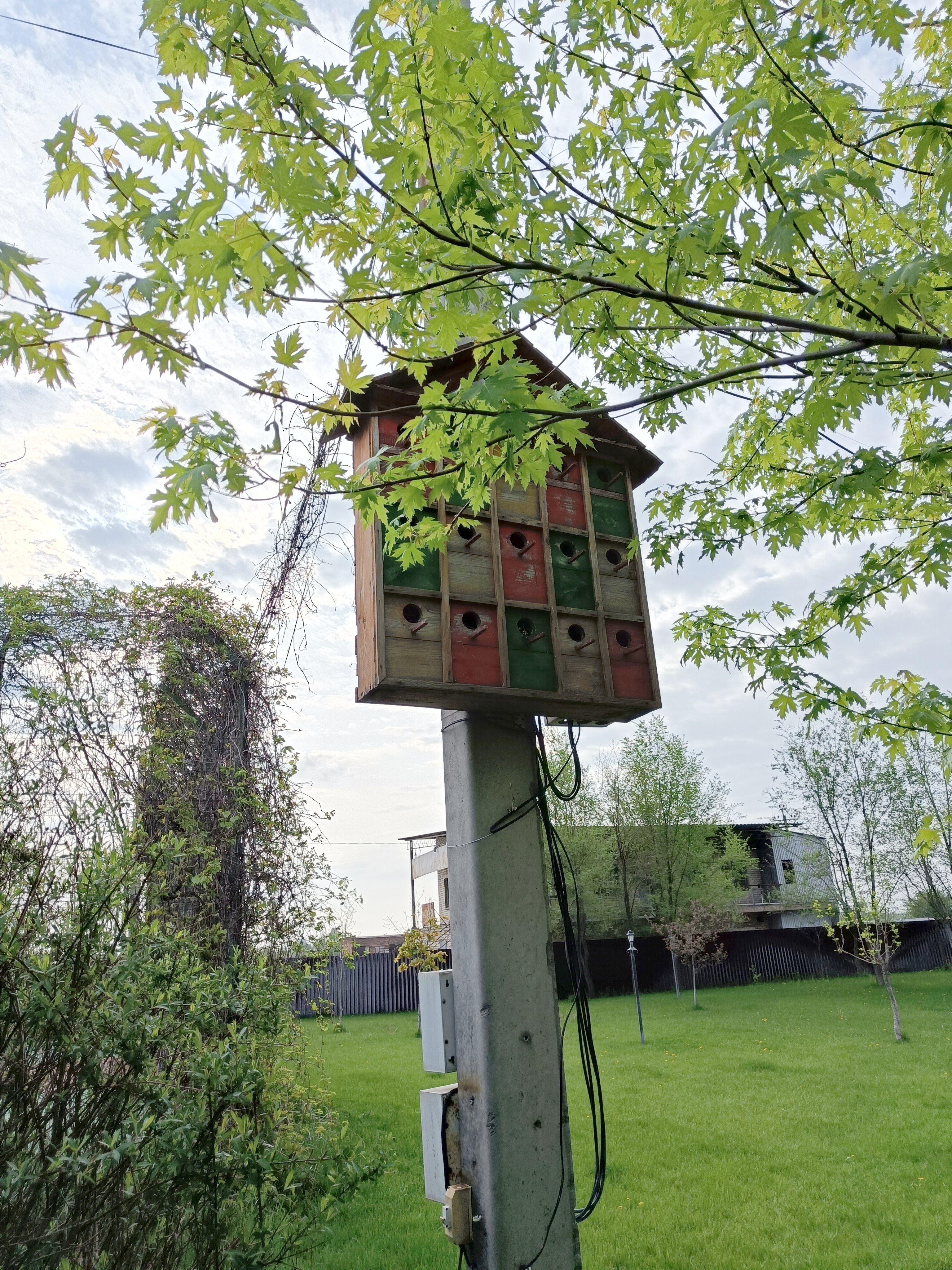 Фото Лазурное