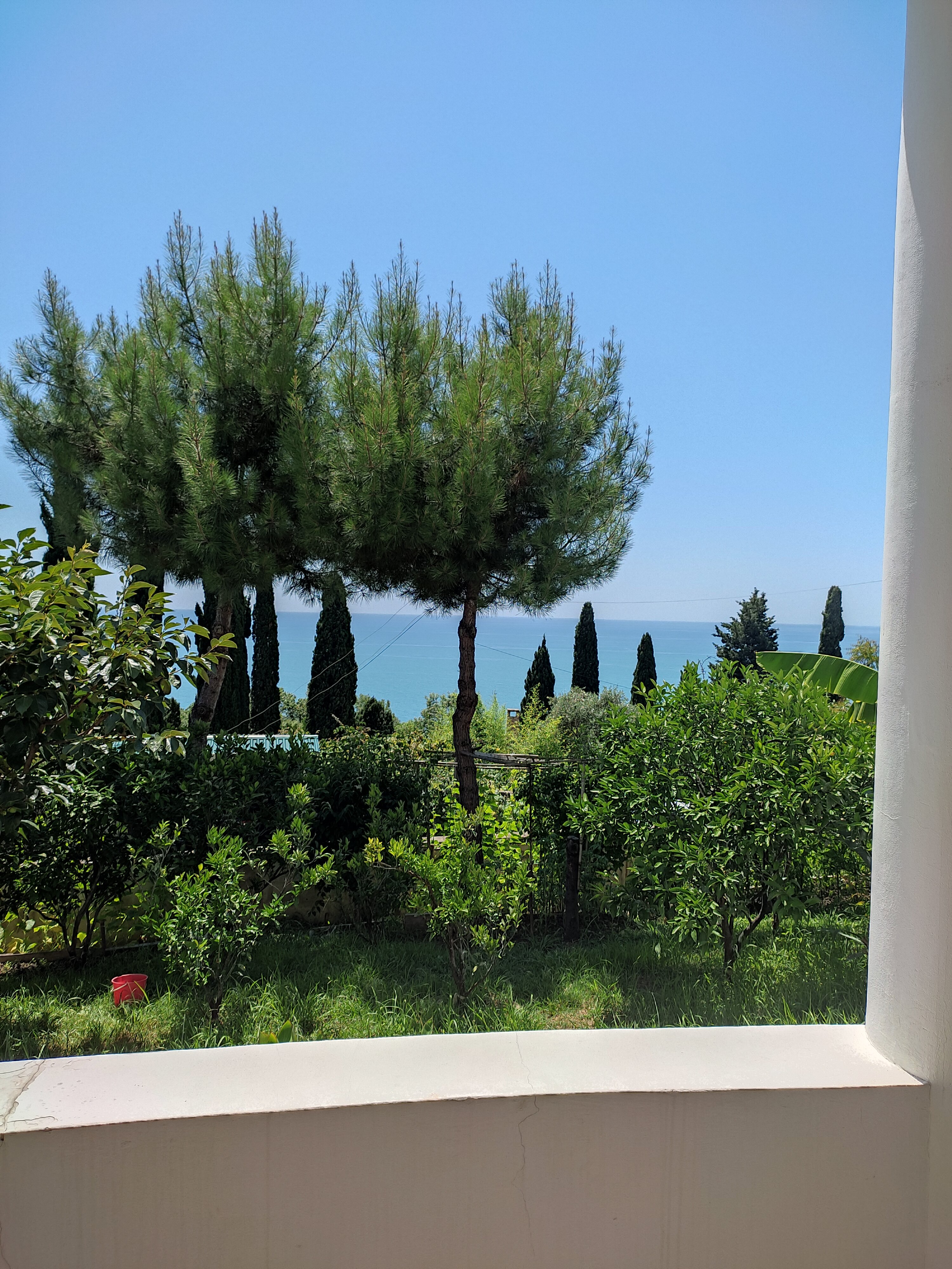 Фото Акварель