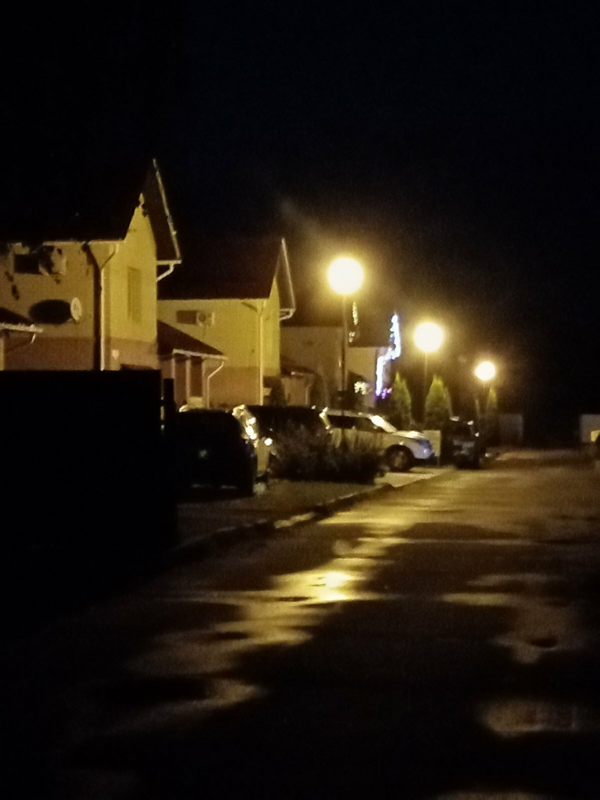 Фото Династия