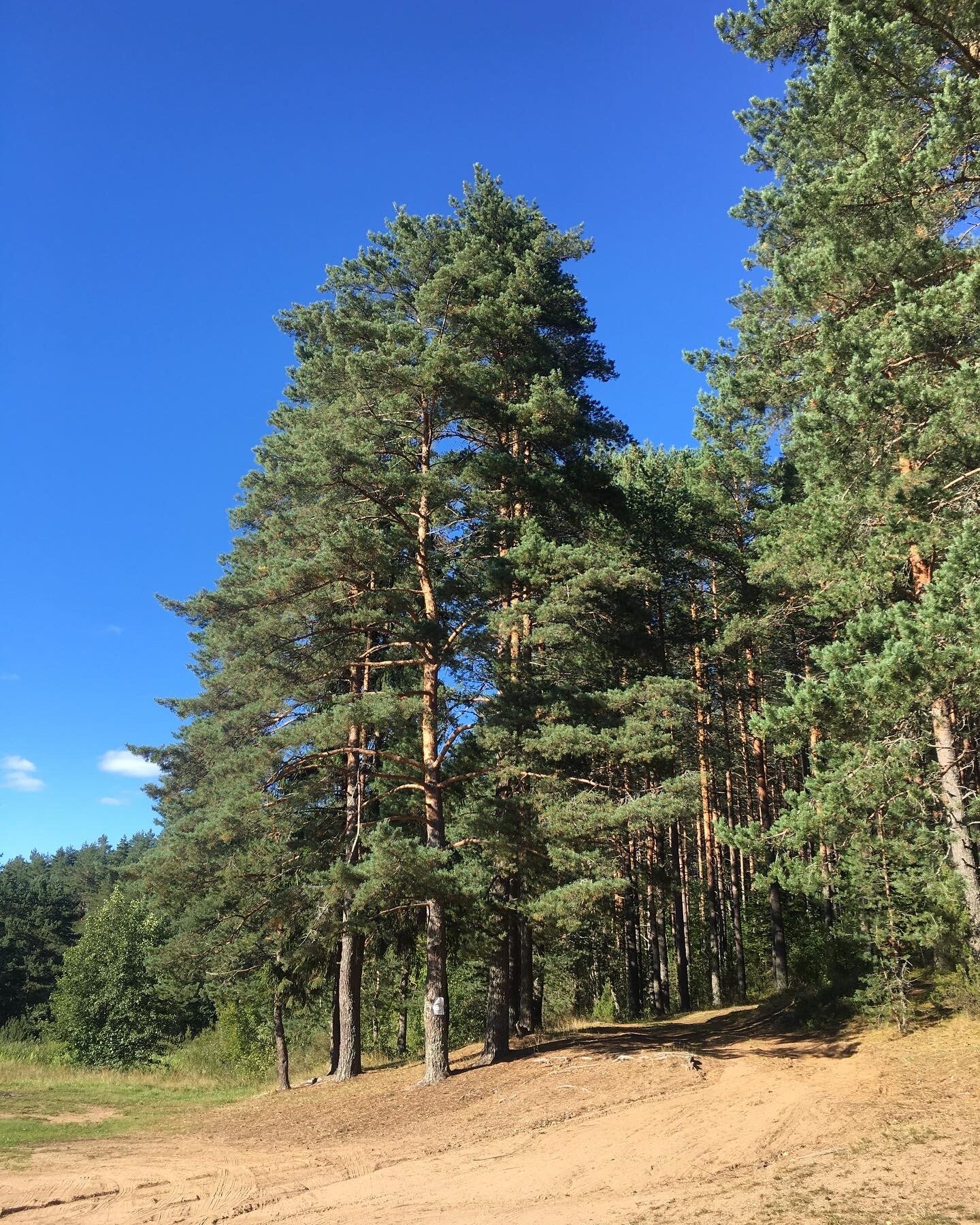 Фото Дом Валдай