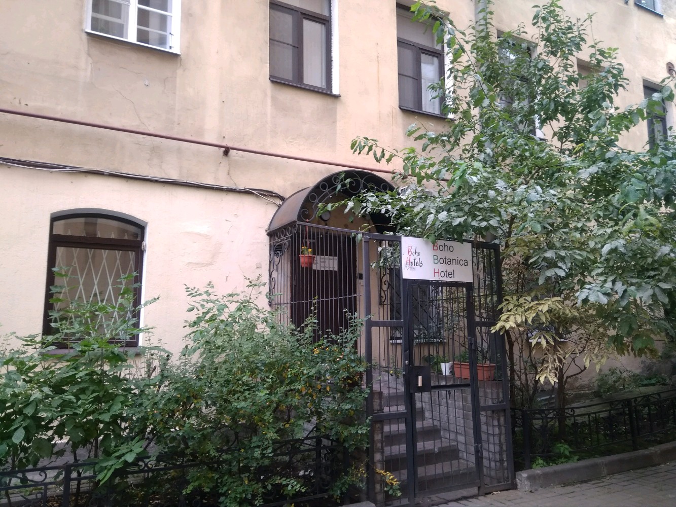 Фото Boho Botanica