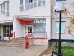 Krasnoe&Beloe (Forstadt Microdistrict, Donetskaya ulitsa, 2) ، محل بقالة
