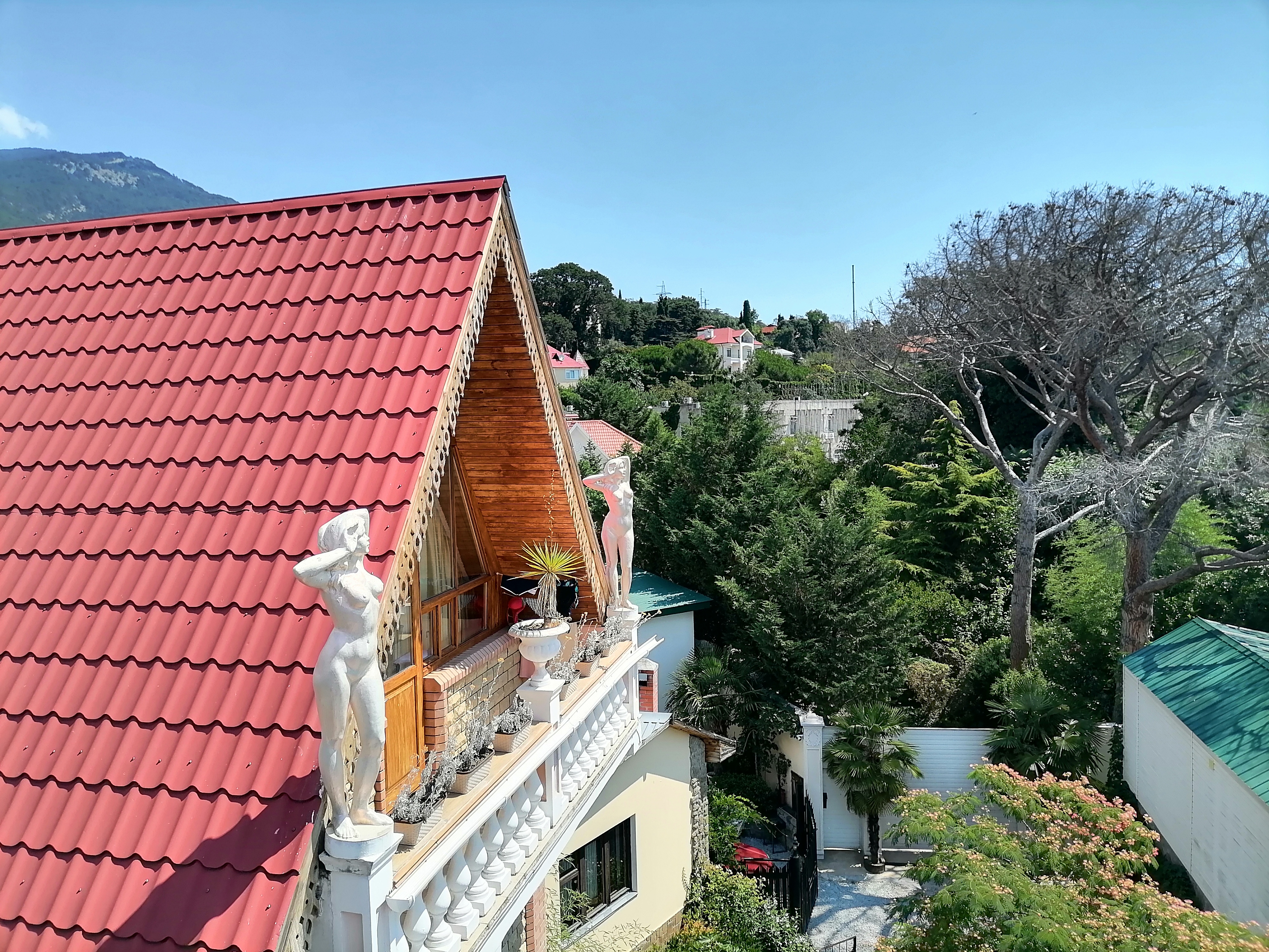 Фото Медный всадник