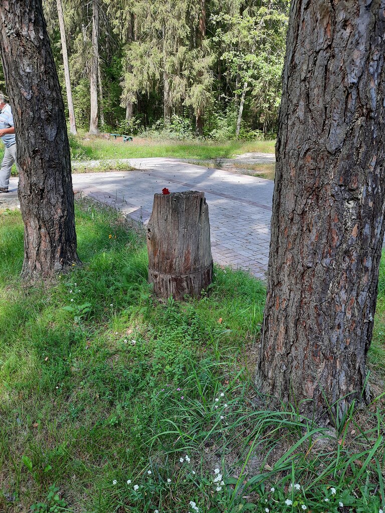 Monument, memorial Металлическая пластина журналистам, Bryansk Oblast, photo