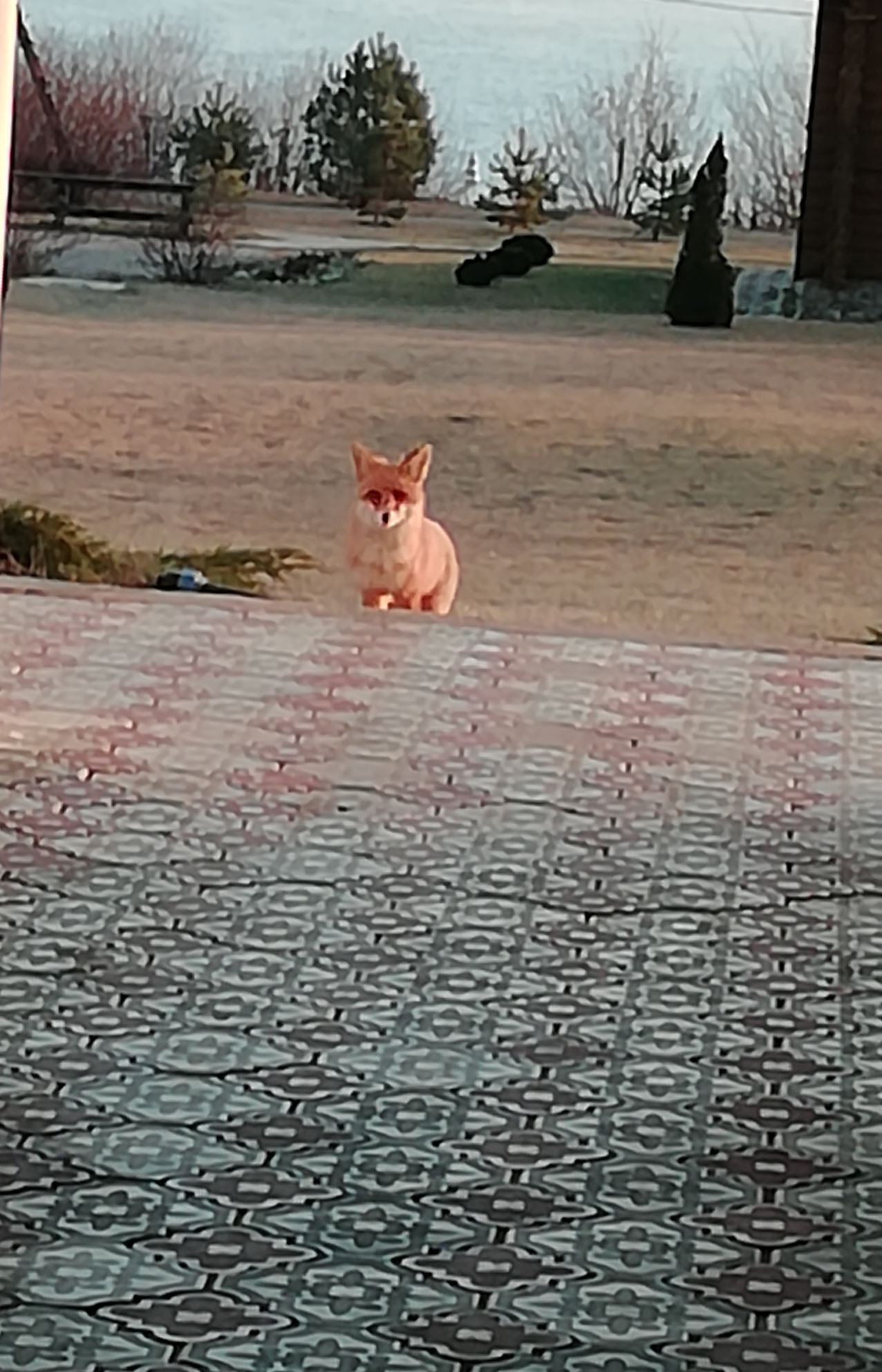 Фото Хвалынская жемчужина