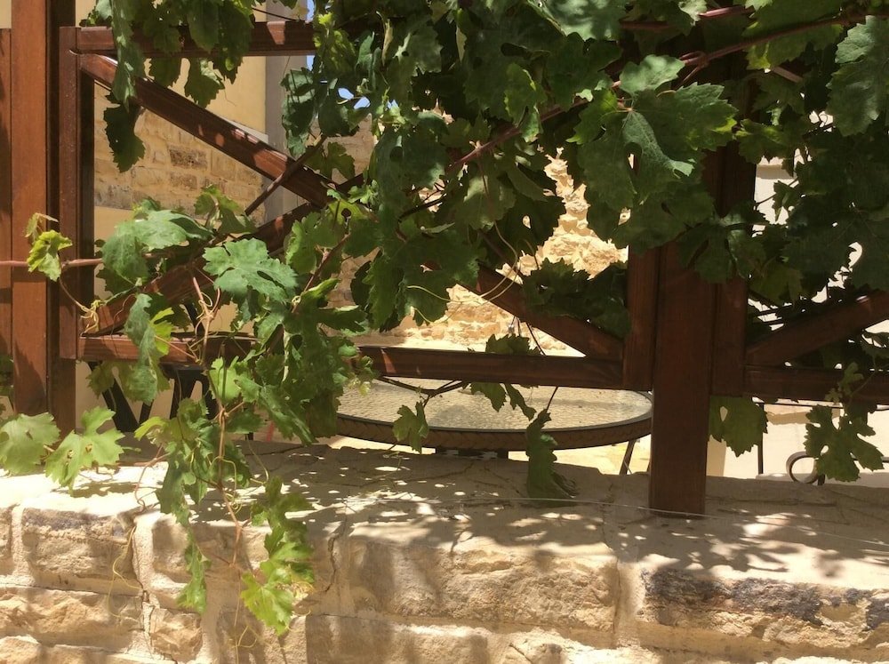 Фото Kritikies Elaia