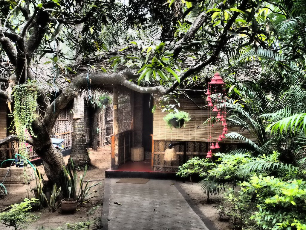 Фото Palm Trees Ayurvedic Heritage