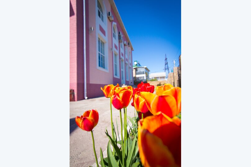 Фото Адмирал клуб