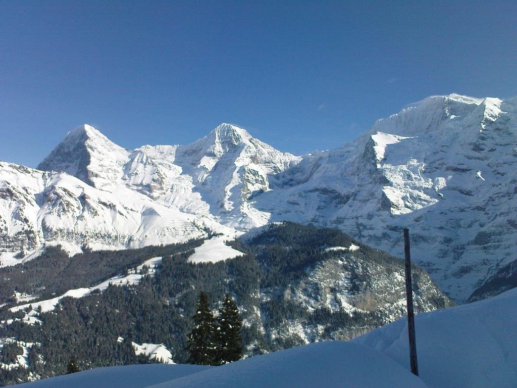 Фото Pension Gimmelwald