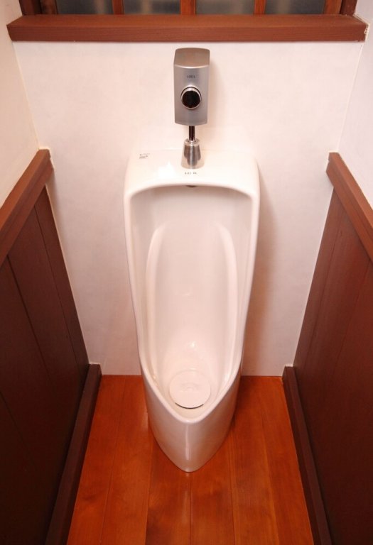 Фото Fuji Time Traveler