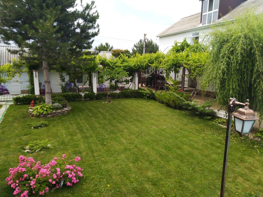 Фото Ивушка