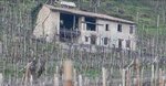 B&b Il Vigneto