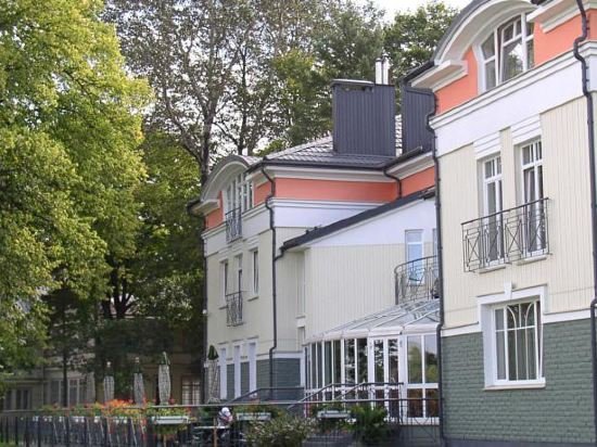 Фото Виолета