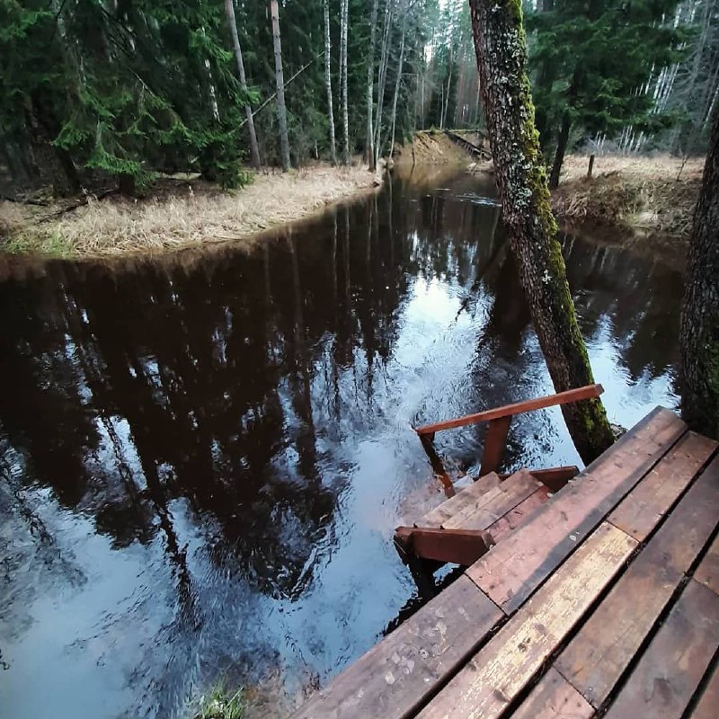 Фото Кургала