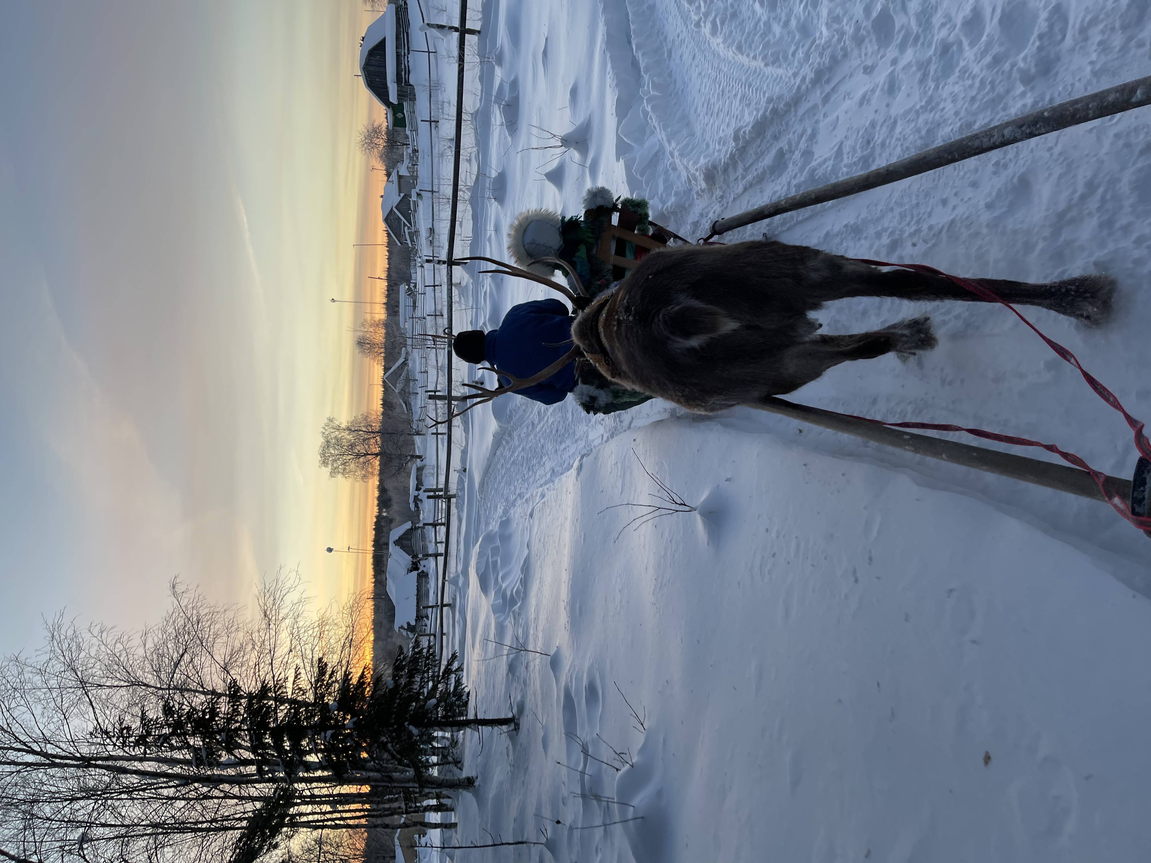 Фото Полярный круг