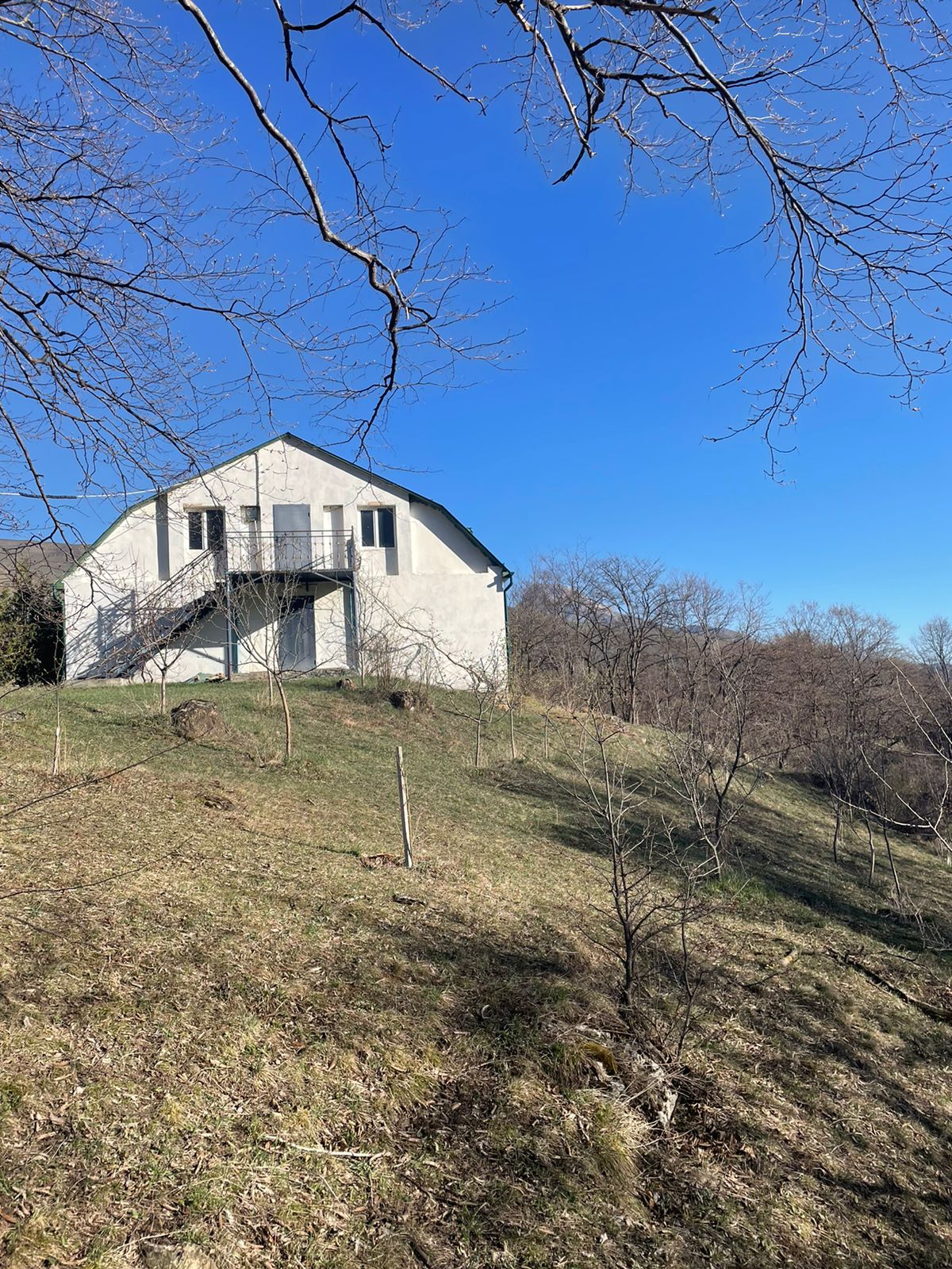 Фото Дубовая Роща