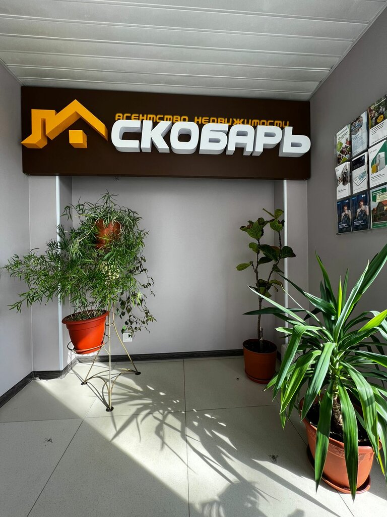 Real estate agency Scobar, Pskov, photo