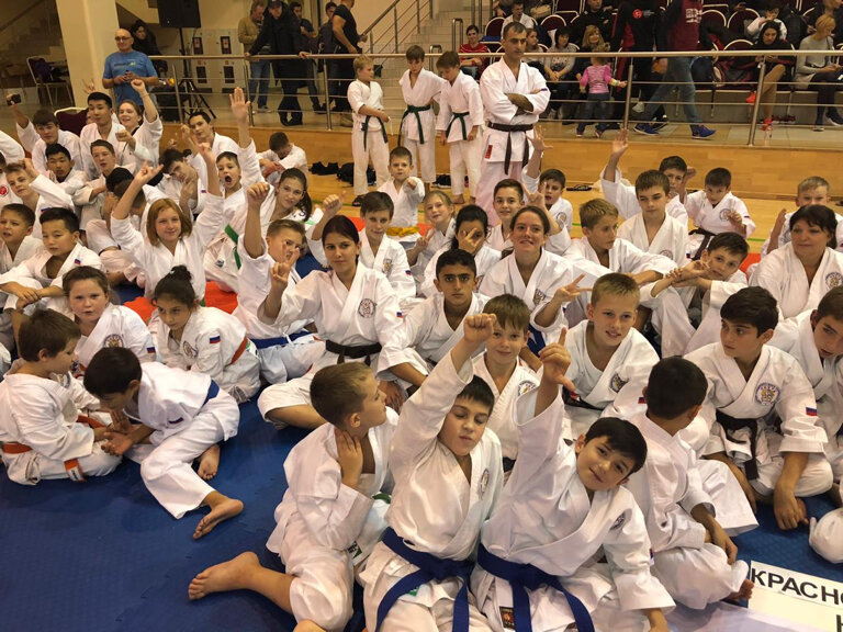 Club deportivo, sección Федерация традиционного Каратэ Краснодарского края, , foto