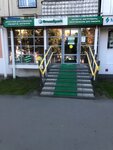 Сервисный центр Green-Service (Lenina Avenue, 45) ، تصليح الهواتف