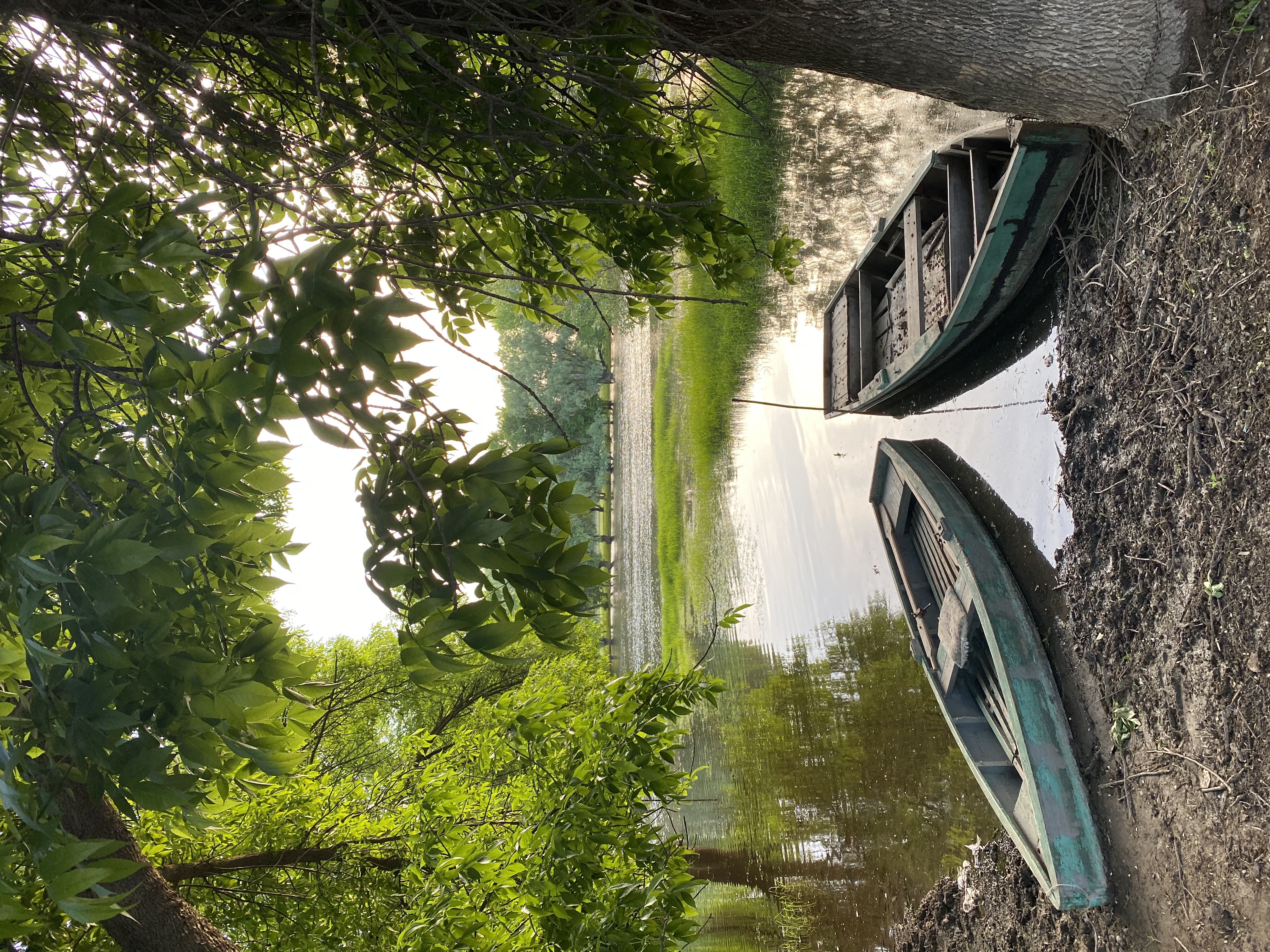 Фото Домик в Лотосах