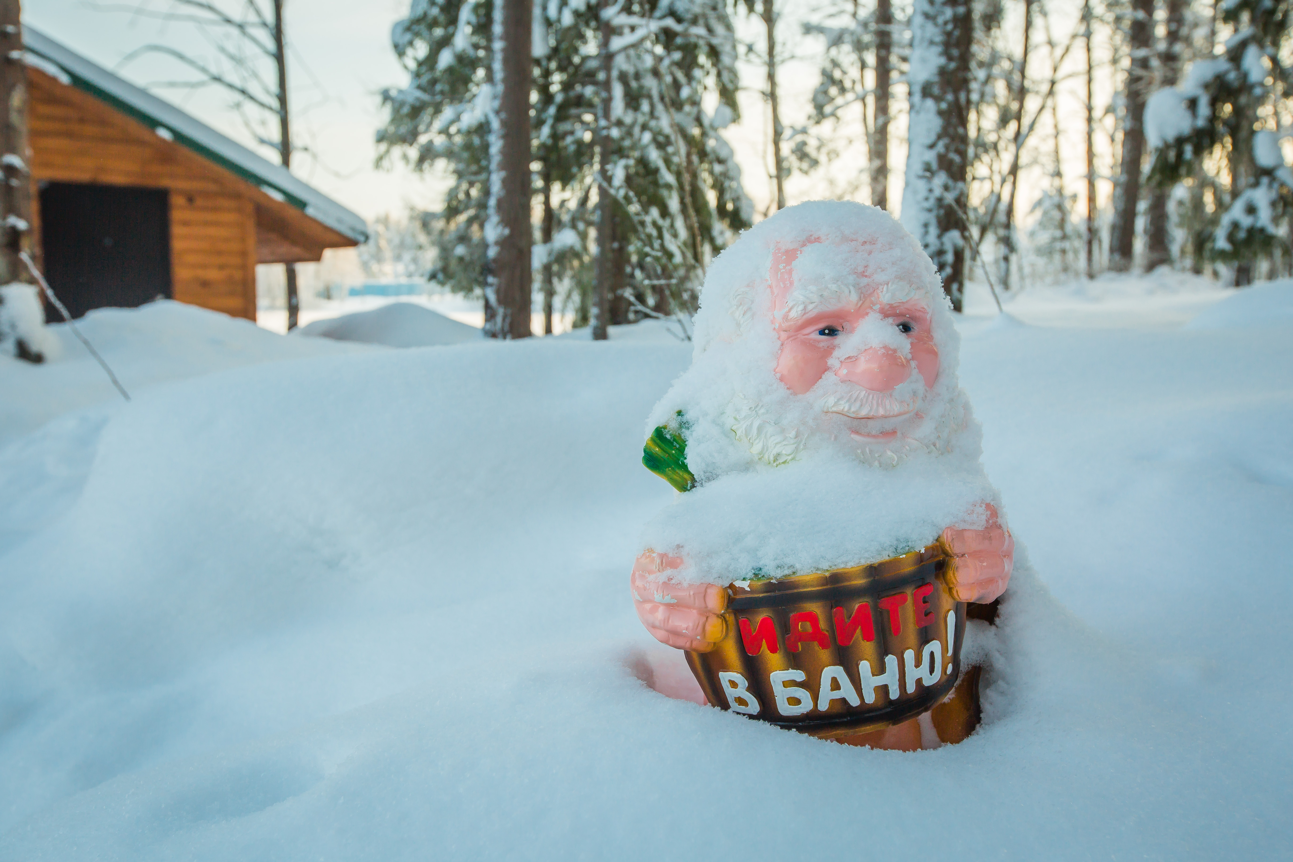 Фото Лесная сказка