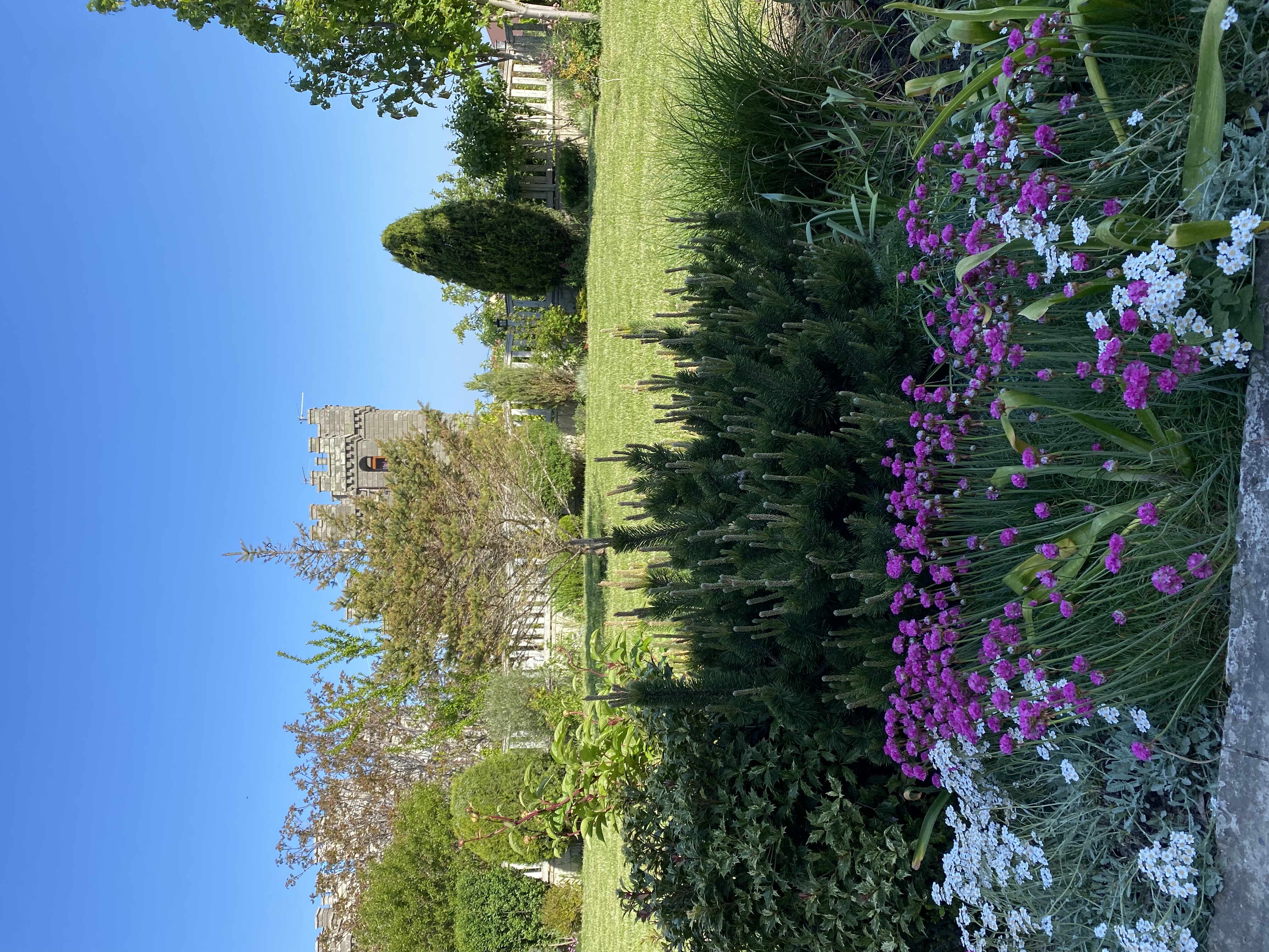 Фото Александрия