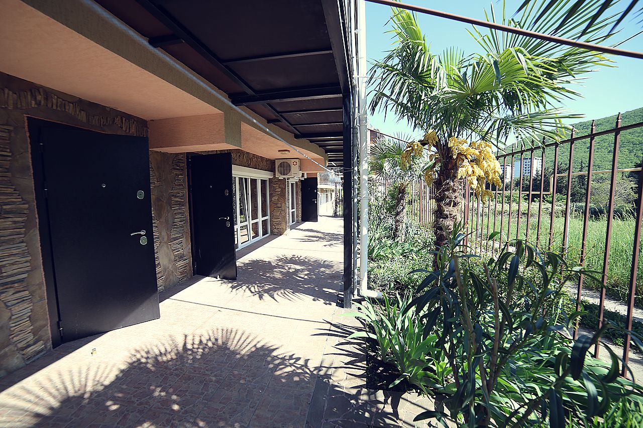 Фото Фламинго