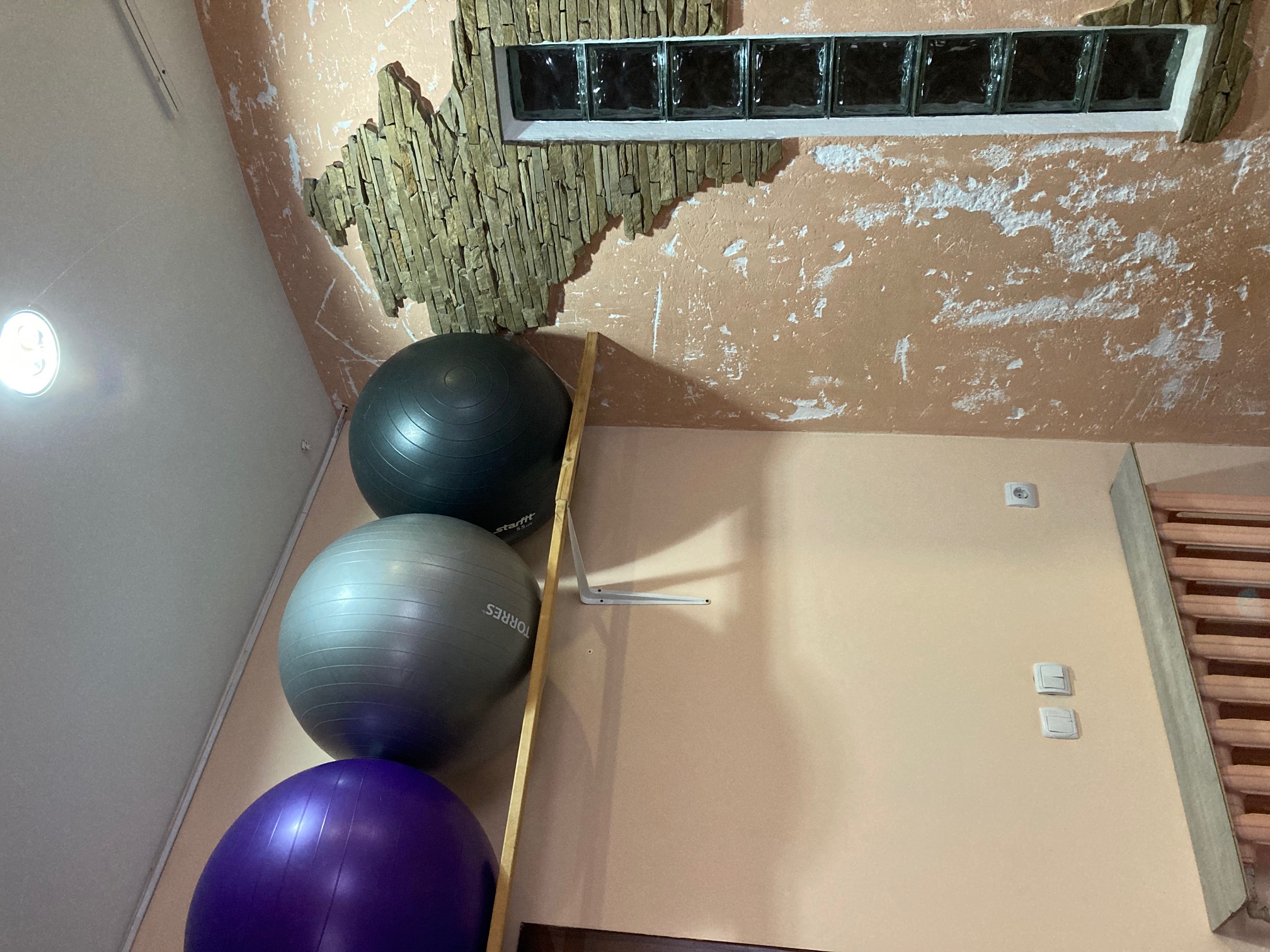 Фото Арабика