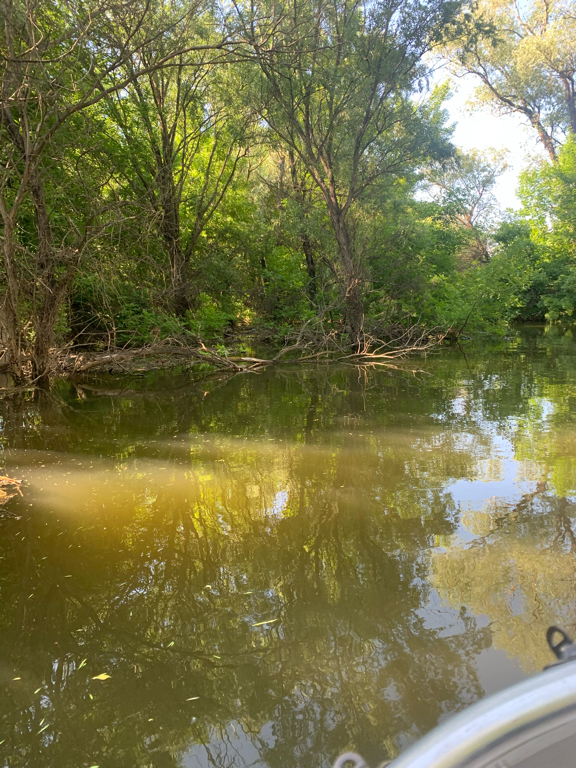 Фото Лазурная
