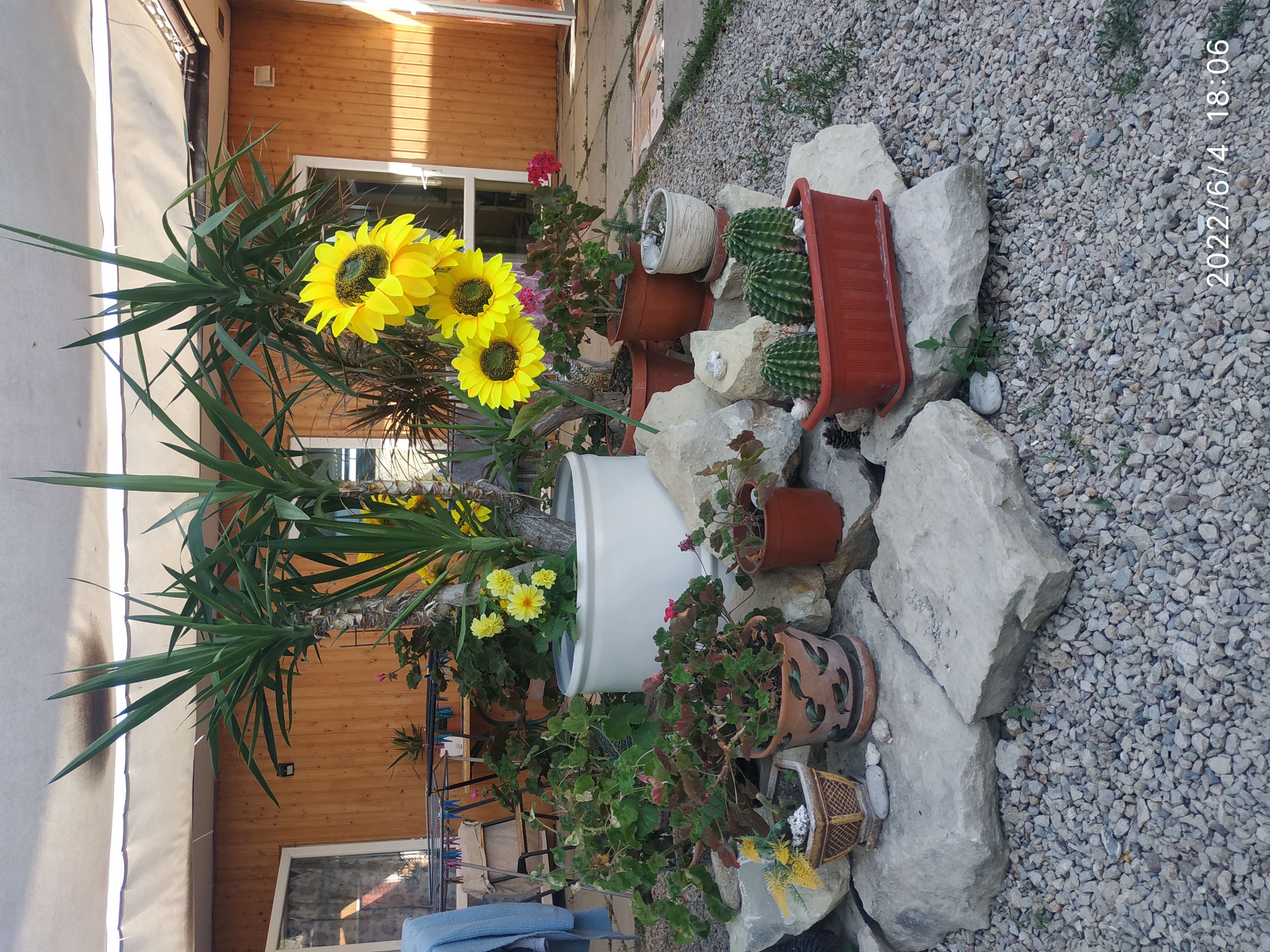 Фото Аннушка