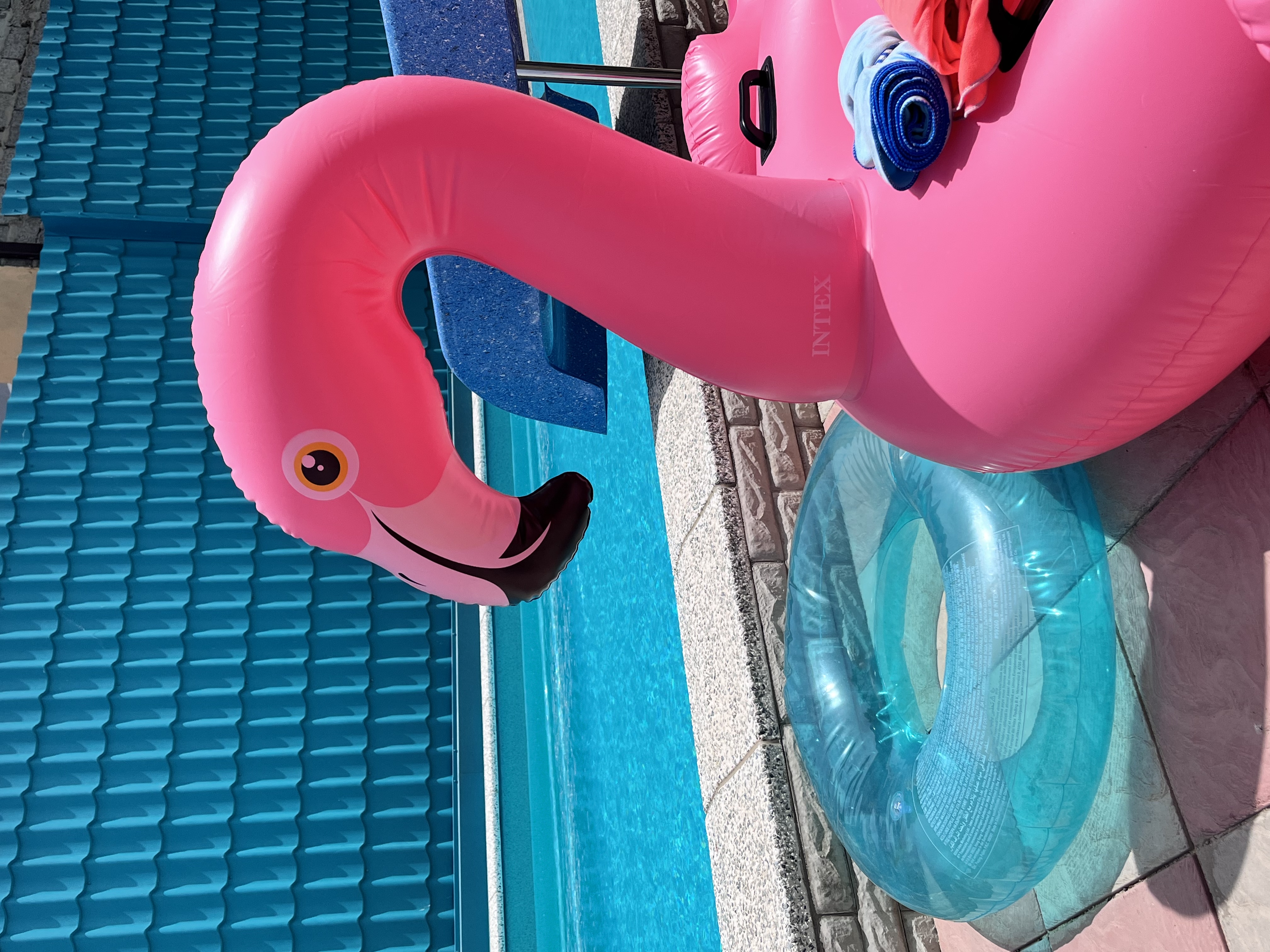 Фото Белая берёза