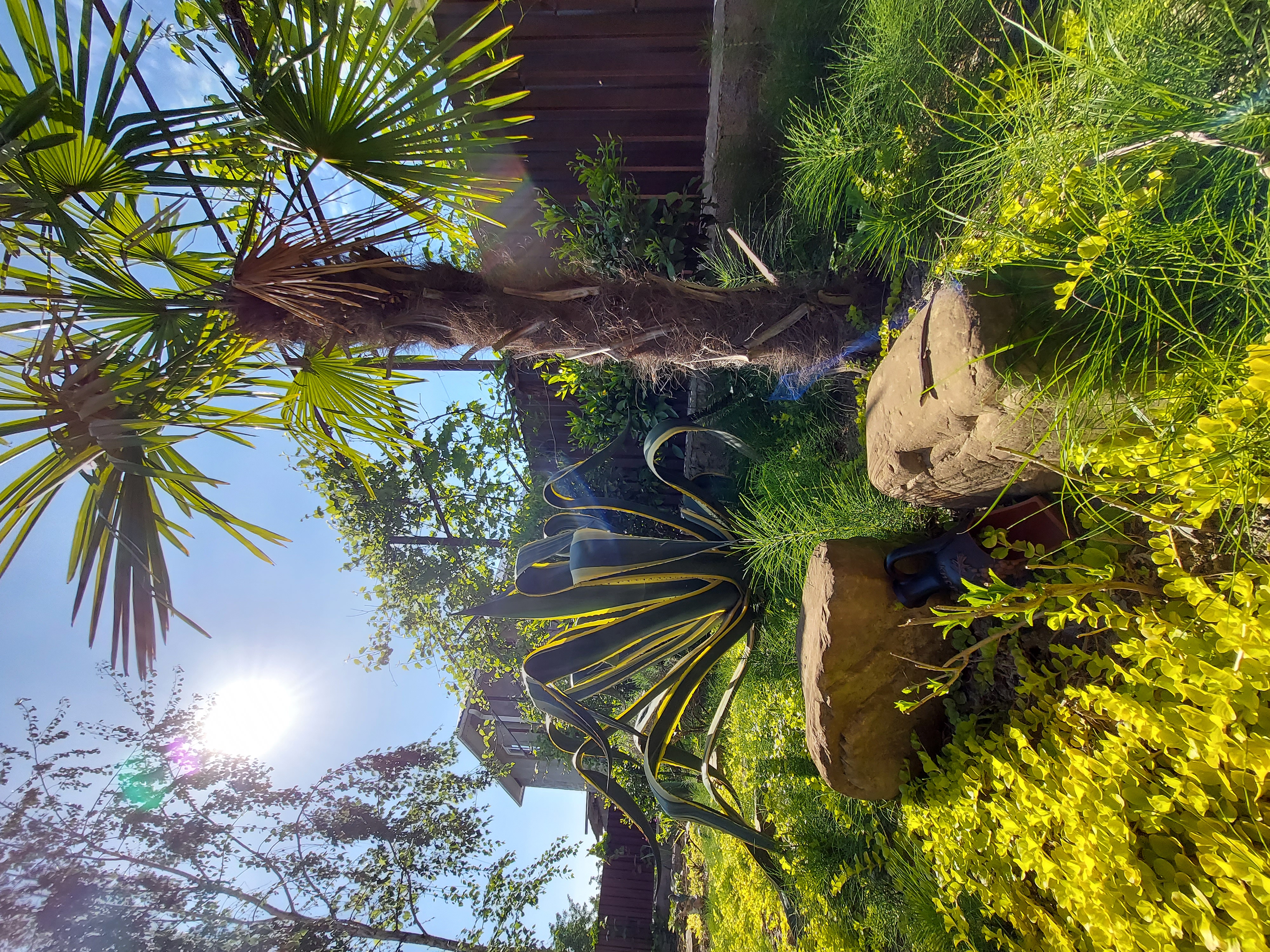 Фото Дом Солнца