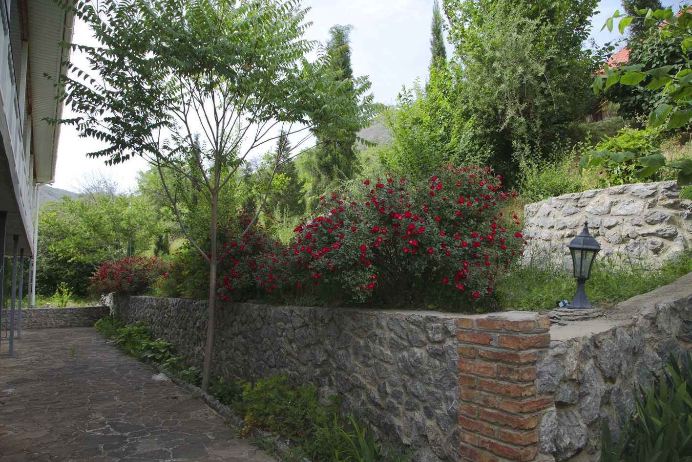 Фото Арпат Зеленогорье