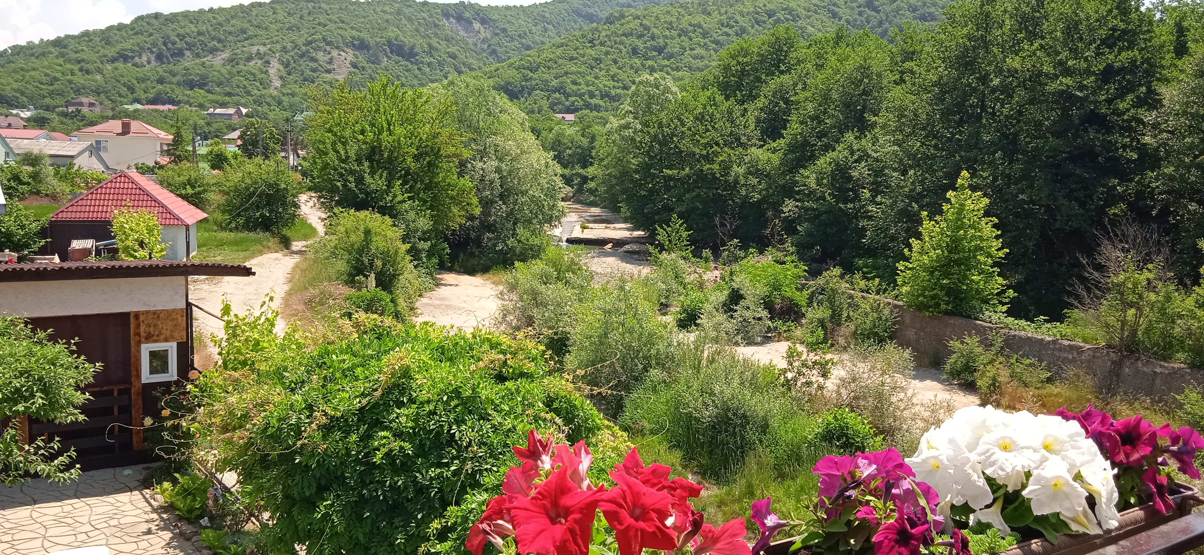 Фото Пчелка