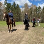 Horsewalk.ru (Лесная ул., 38), конный клуб в Дзержинском