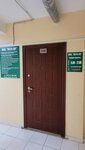 Vega-33 (Gorkogo Street, 56А), cadastral works