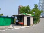 Фрукты овощи (Primorye Territory, Vladivostok, Tolstogo Street), greengrocery