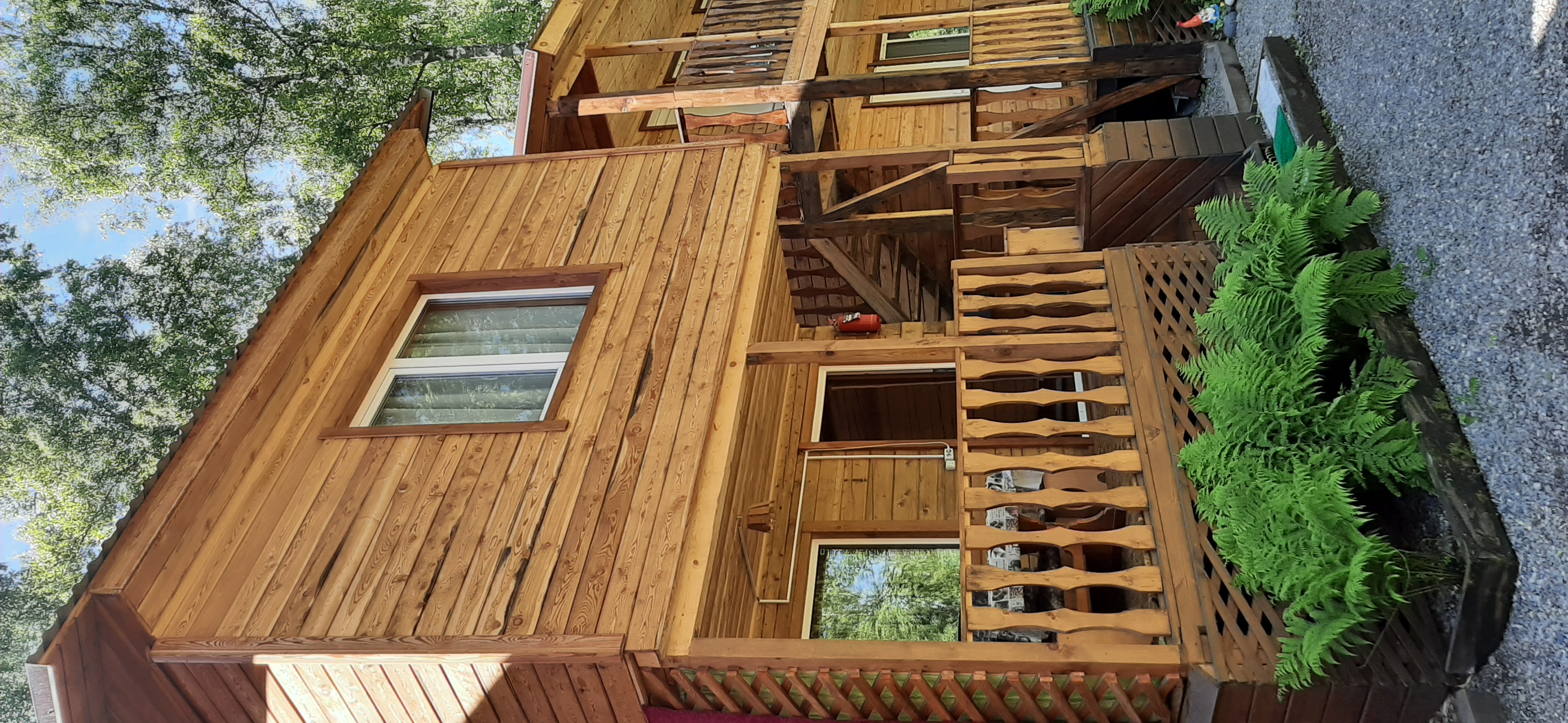 Фото Усадьба Цвет папоротника